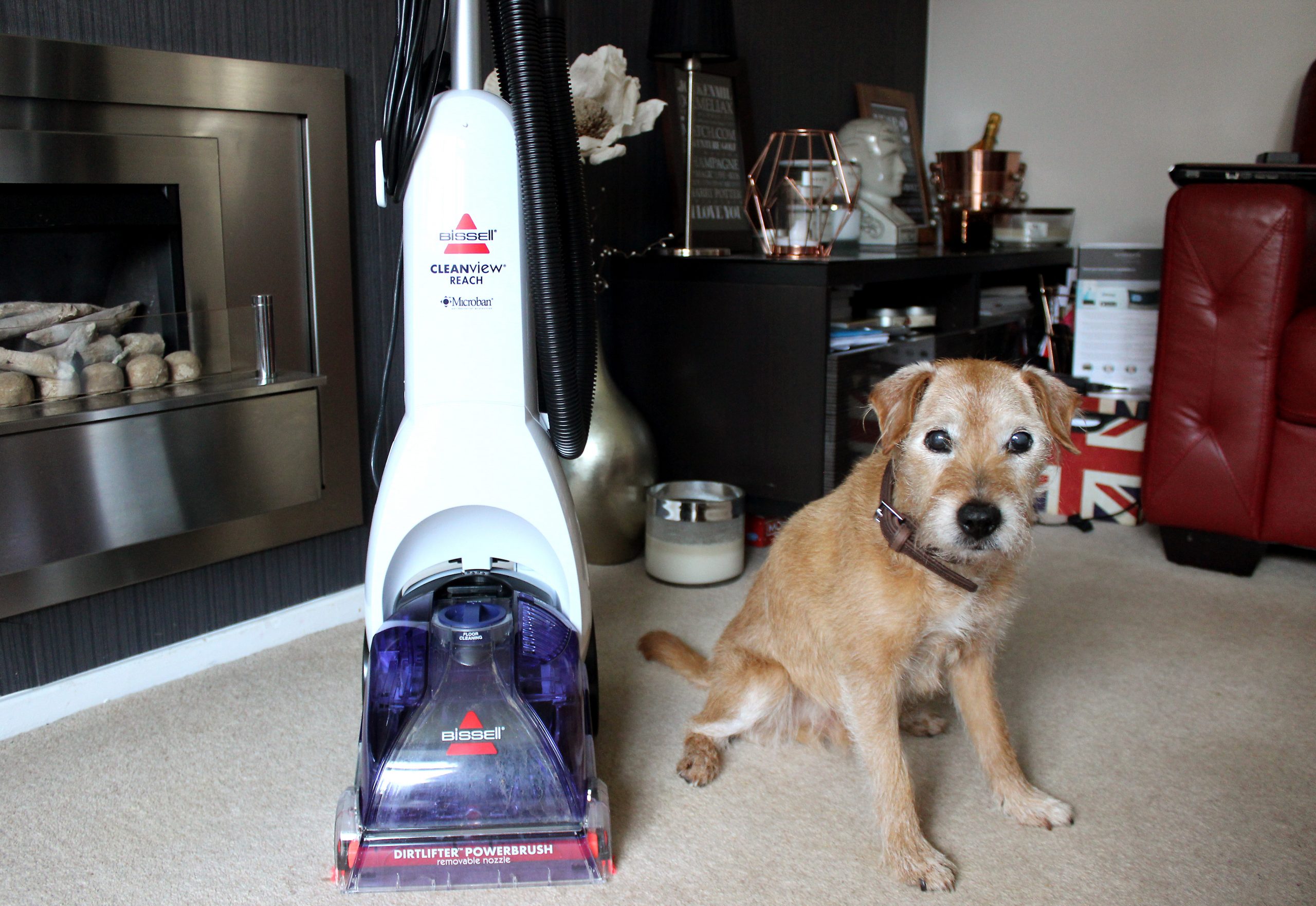 The Holy Grail Cleaner That Saved My 