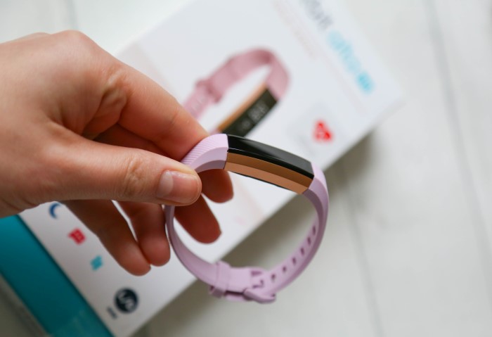 Genre At søge tilflugt omhyggelig The New Fitbit Alta HR Fitness Tracker | Rose Gold Edition | xameliax