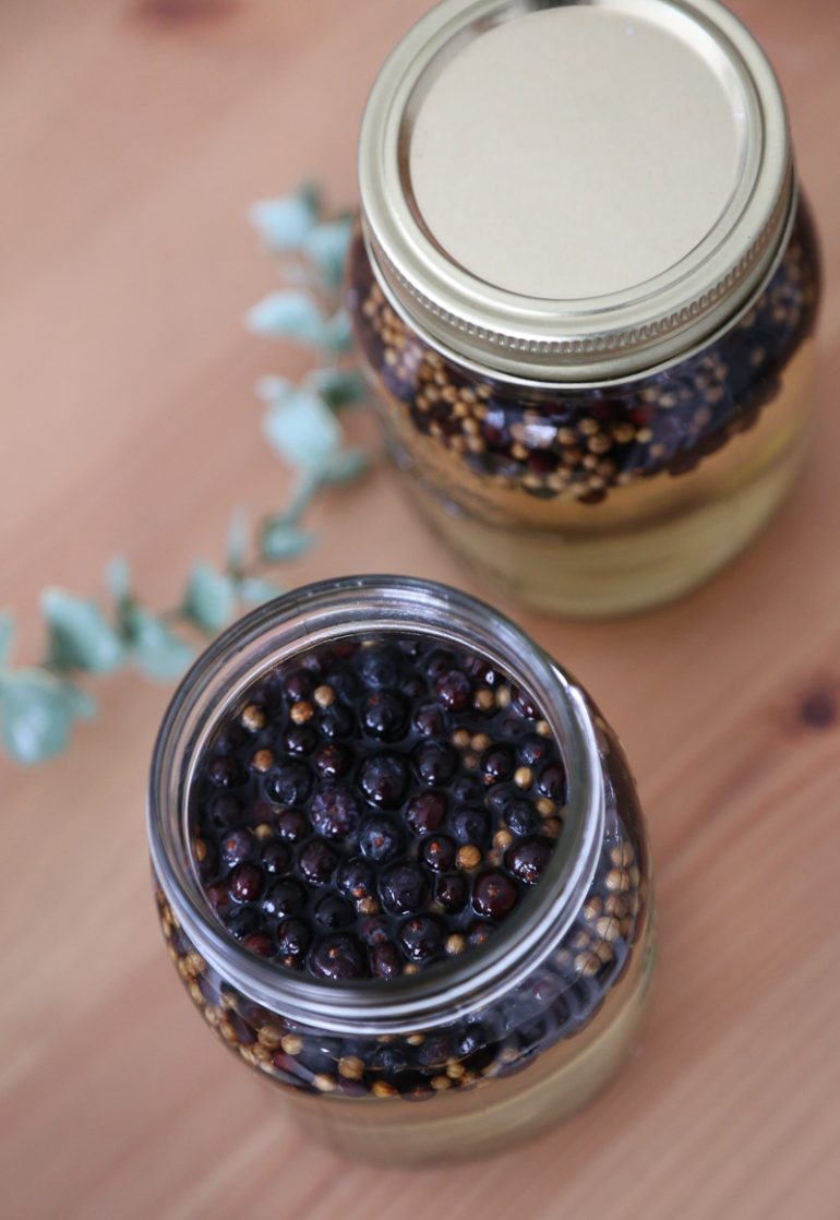 How to Make Gin at Home A Beginners Guide with Recipes!