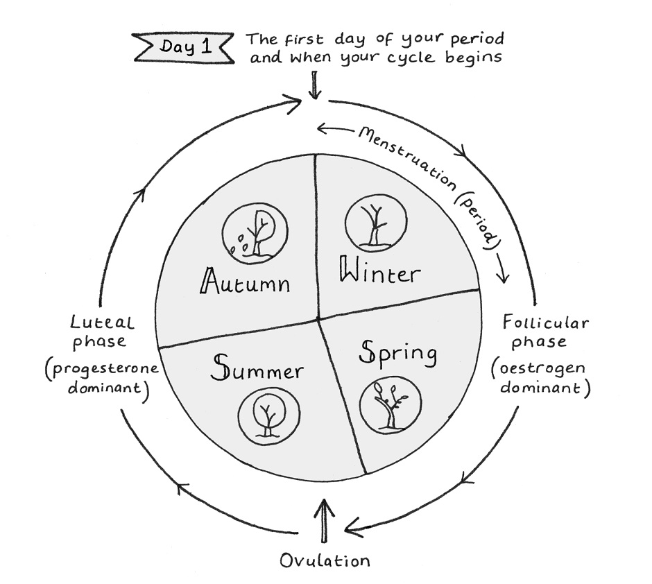 menstrual cycle seasons